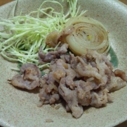 塩麹を使ったお料理にハマっています(^^*)
この生姜焼きもお肉が柔らか～くて、美味しかったです♪
ごちそうさまでした！